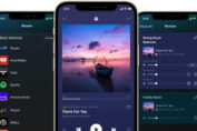 WiiM Home App : ouverture à Audio Pro et Pro-Ject