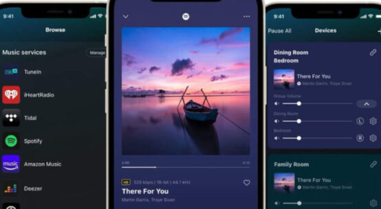WiiM Home App : ouverture à Audio Pro et Pro-Ject