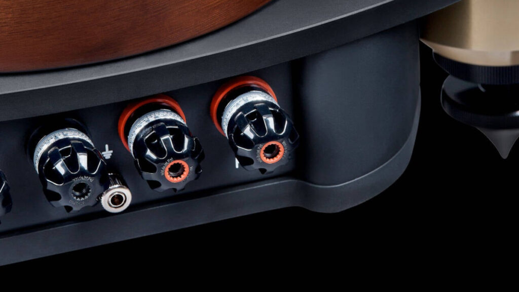 Fyne Audio F1-10 Anniversary
